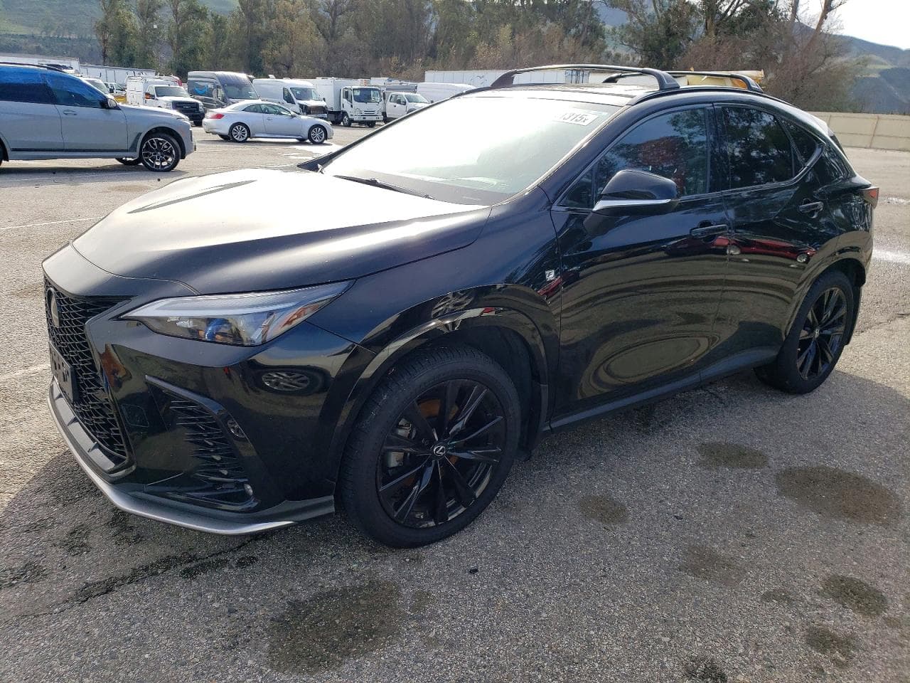 NX 350