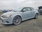 SCION