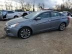 SONATA