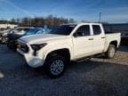 TACOMA