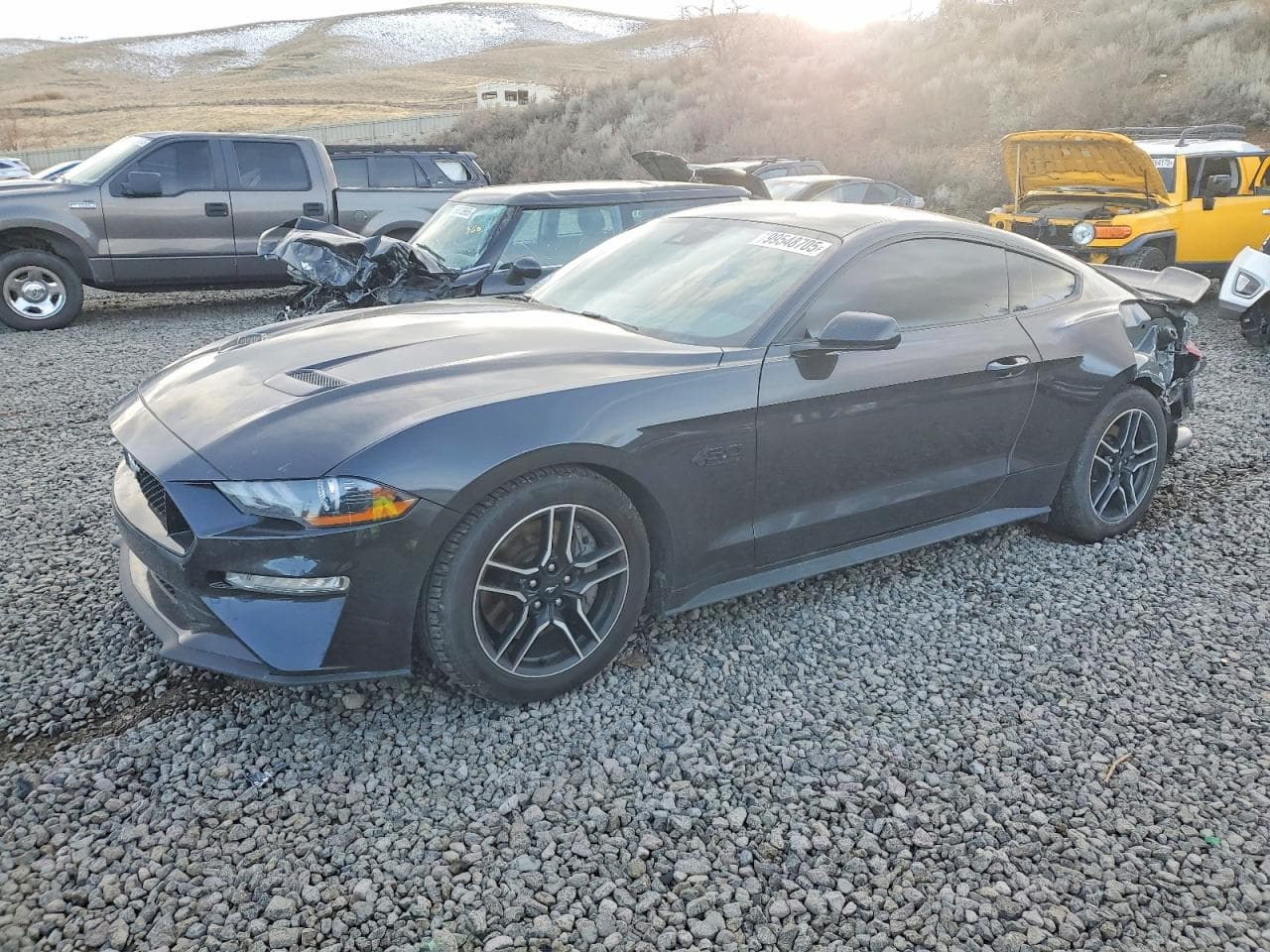 MUSTANG
