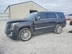 ESCALADE
