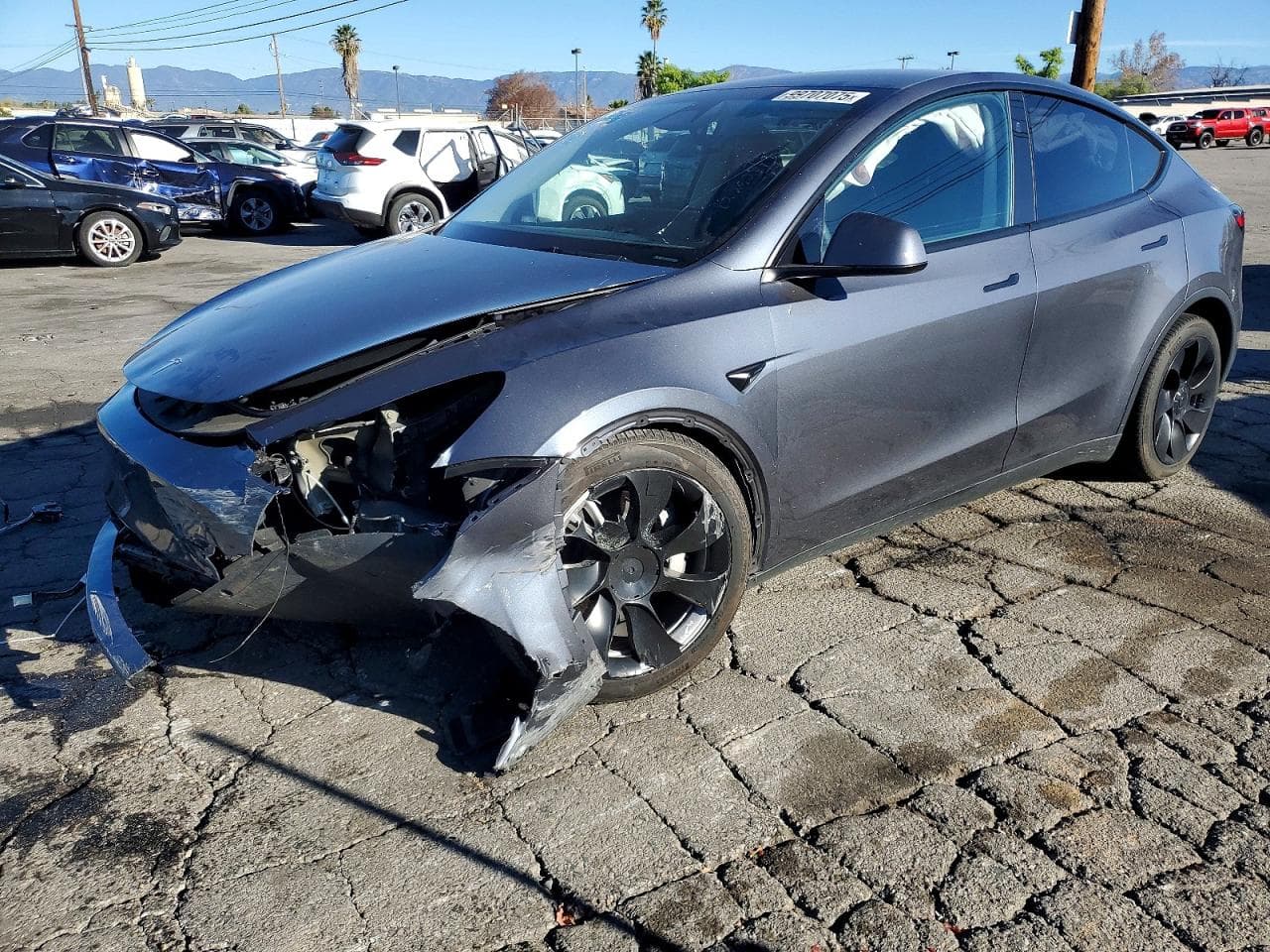 MODEL Y