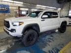 TACOMA