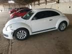 BEETLE
