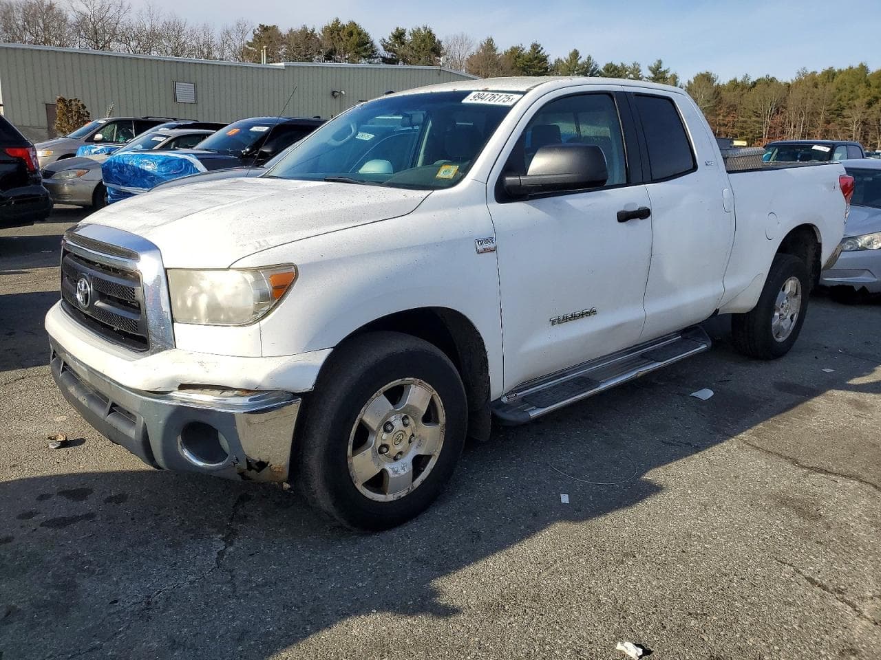 TUNDRA