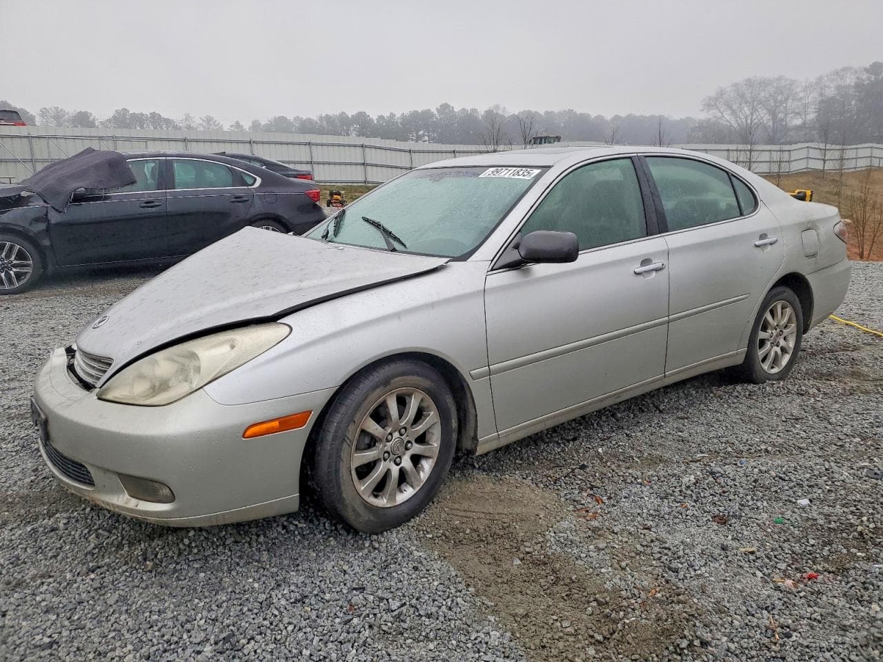 ES300