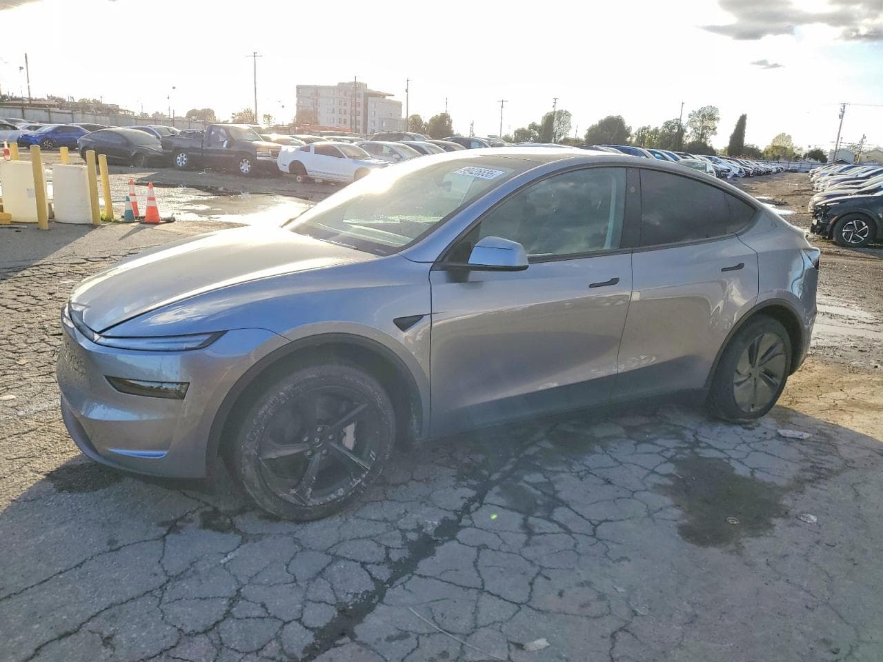 MODEL Y