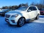 M-CLASS