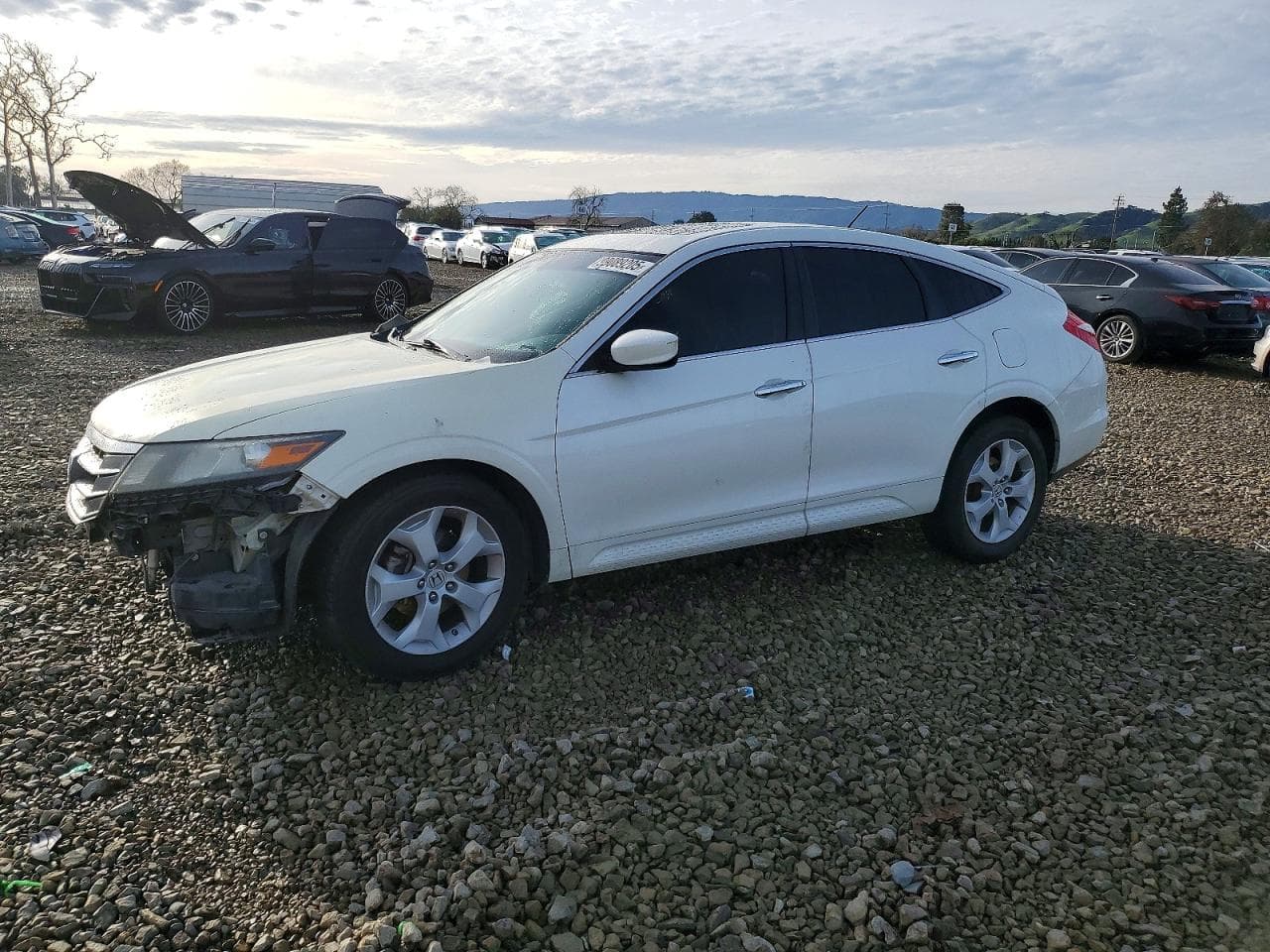 ACCORD