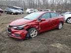 CRUZE