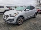 SANTA FE