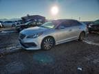 SONATA