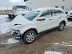 CRV