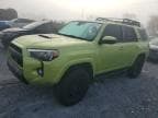 4RUNNER