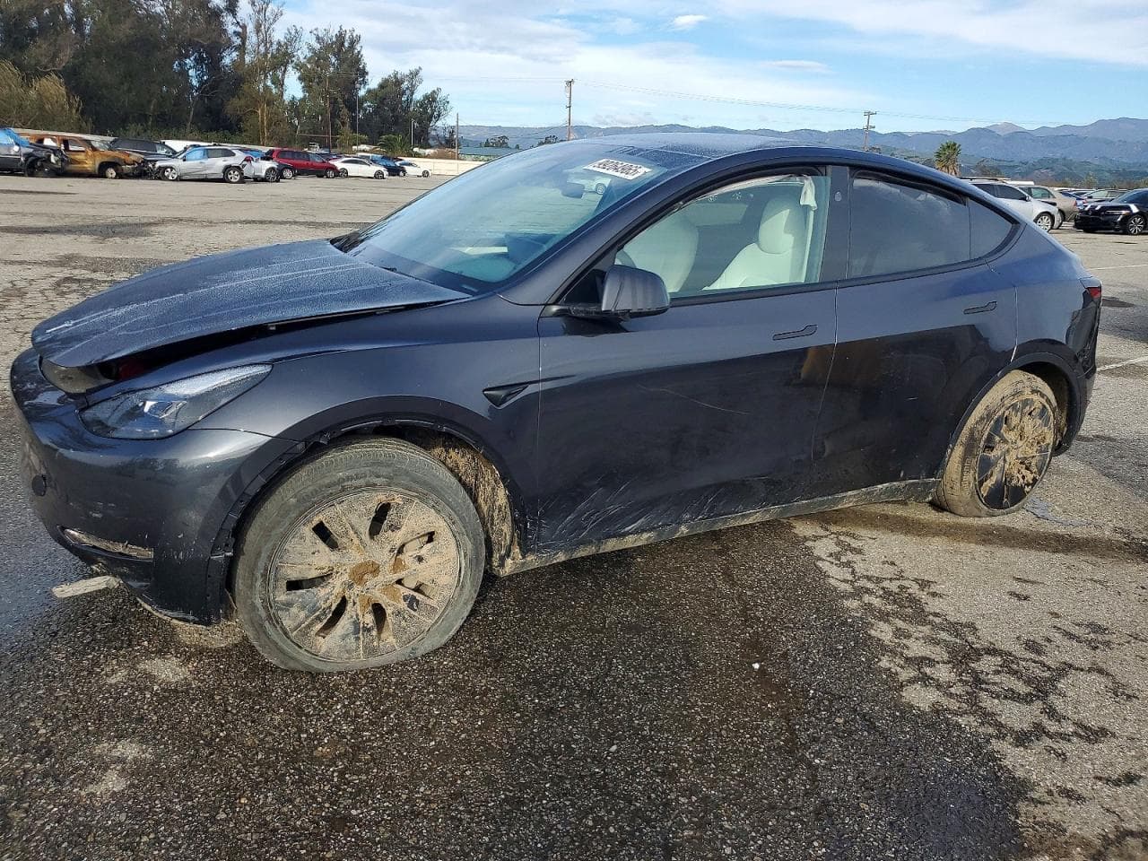 MODEL Y