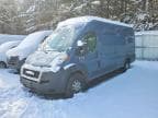 PROMASTER