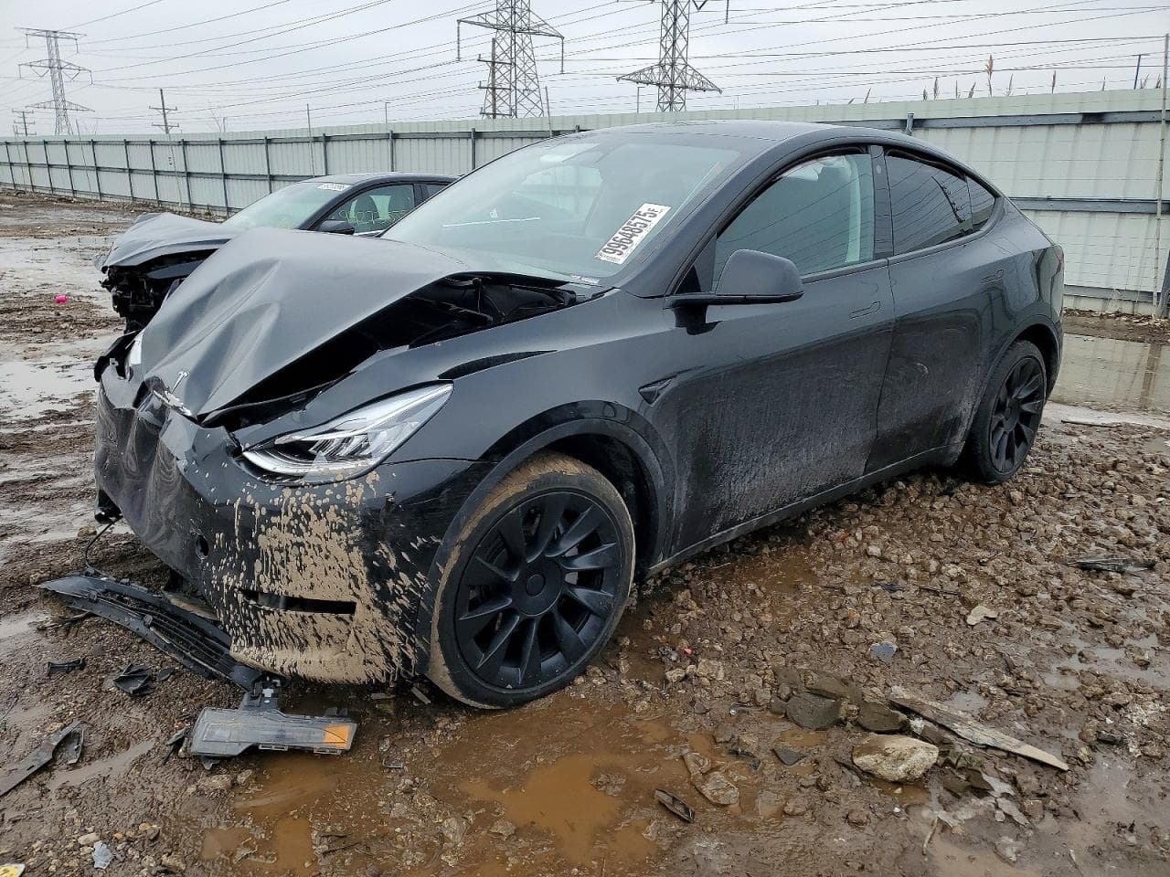 MODEL Y