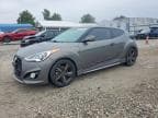 VELOSTER