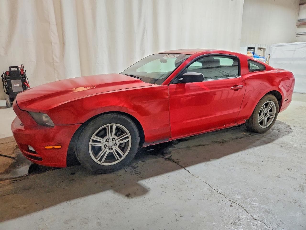 MUSTANG