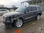 ESCALADE