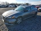 ALTIMA