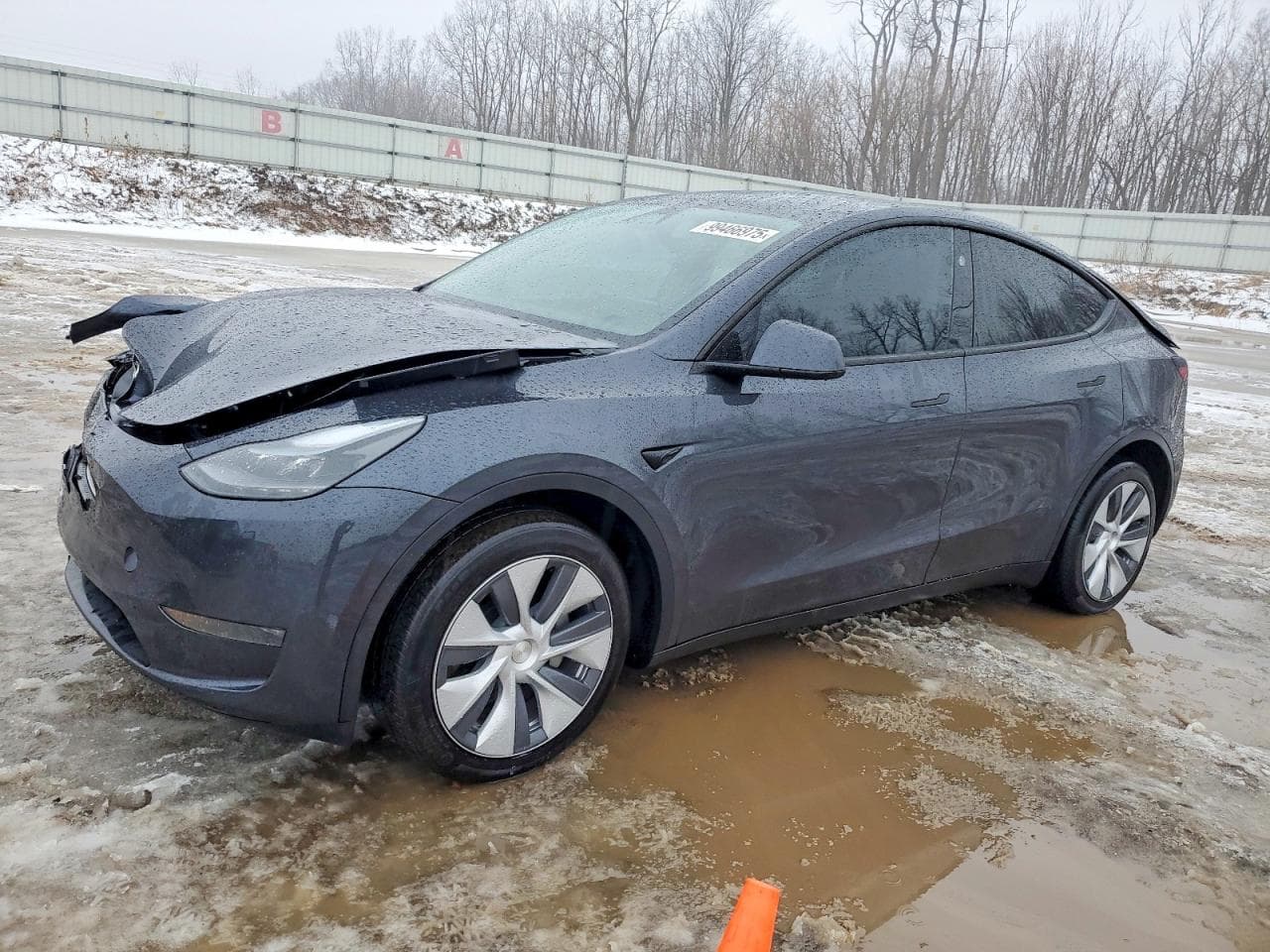 MODEL Y