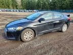 ELANTRA