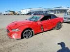 MUSTANG