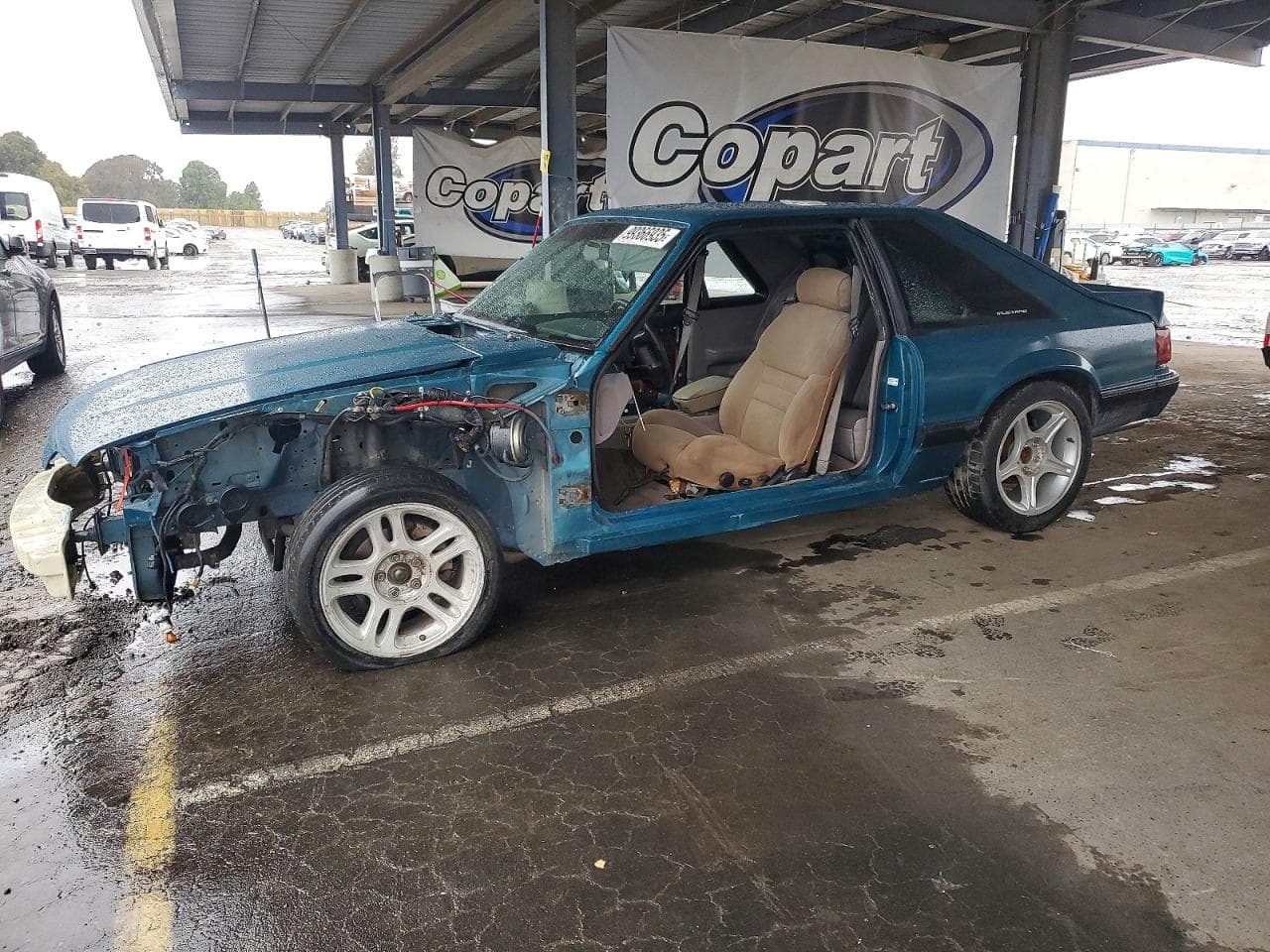 MUSTANG