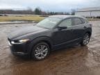 CX30