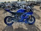 YZFR7