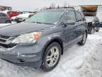 CRV