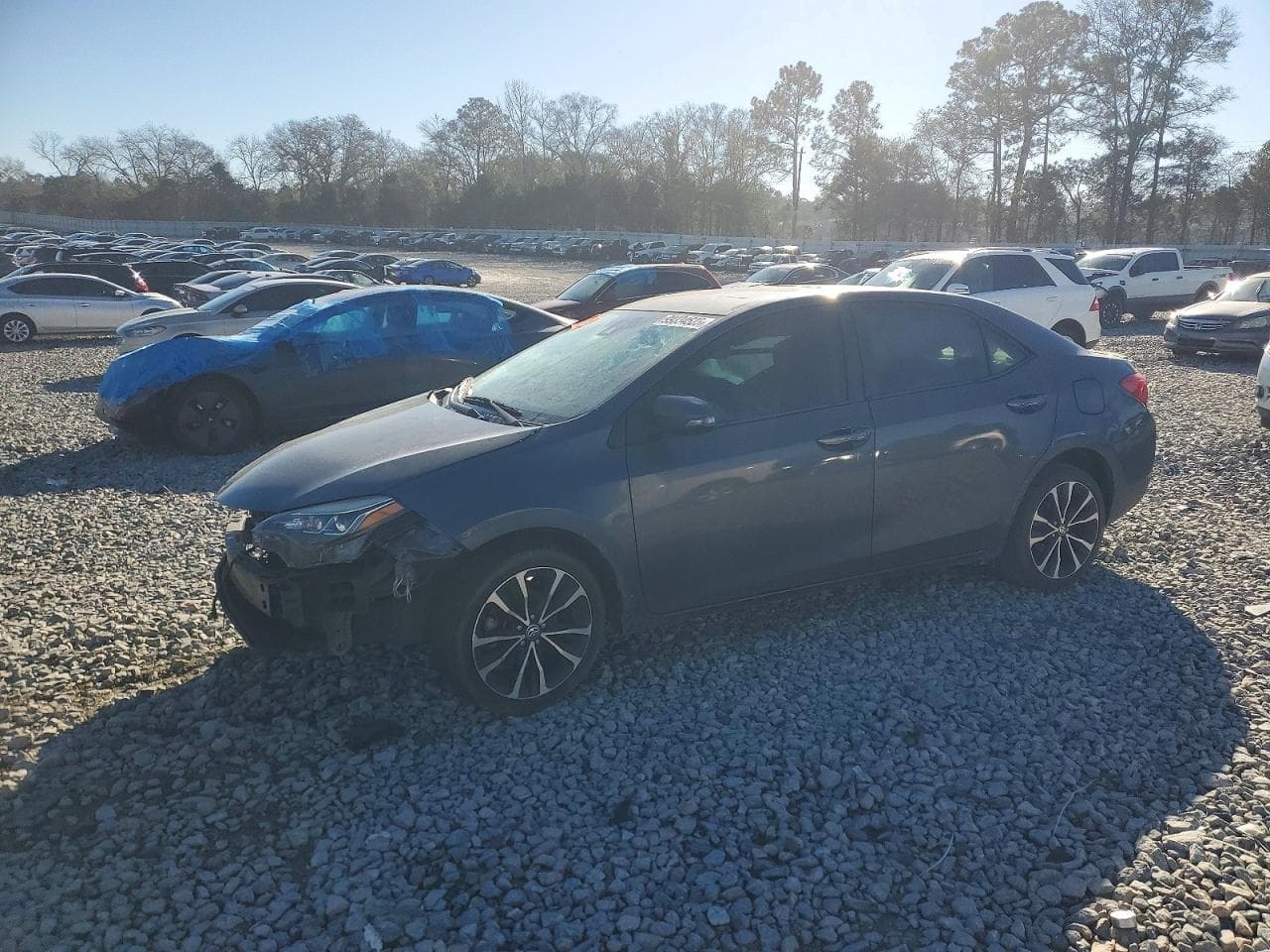 COROLLA