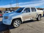 RIDGELINE