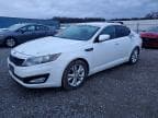 OPTIMA