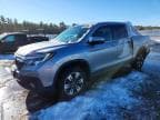 RIDGELINE