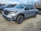 RIDGELINE