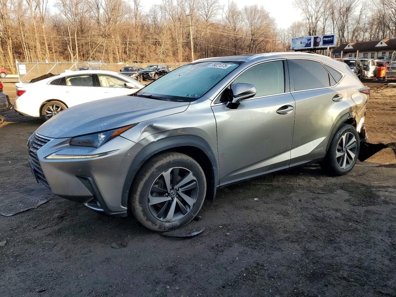 NX300H