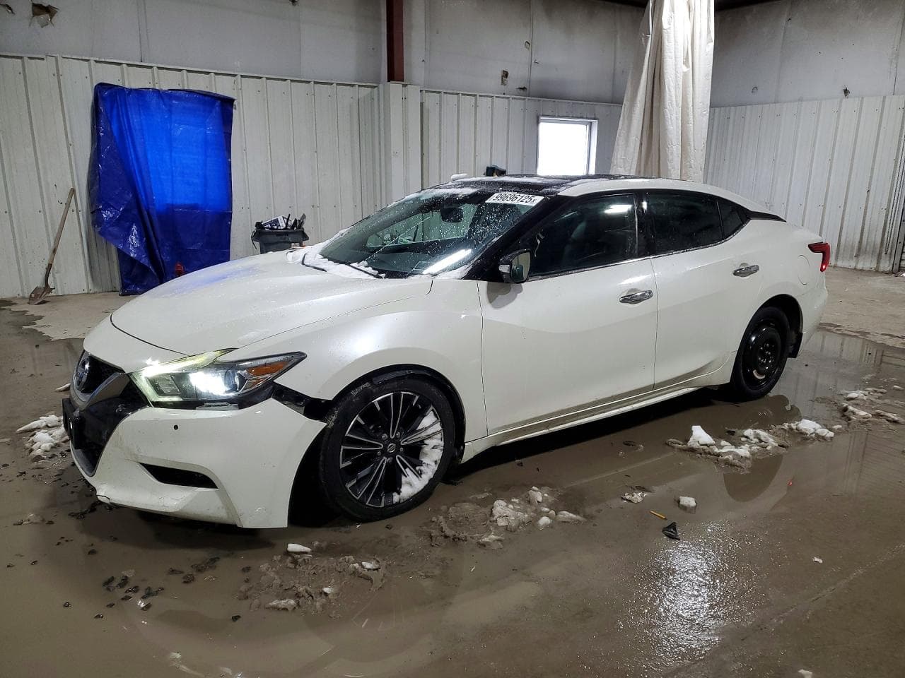 MAXIMA