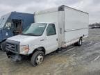 ECONOLINE