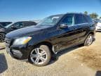 M-CLASS