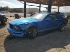 MUSTANG